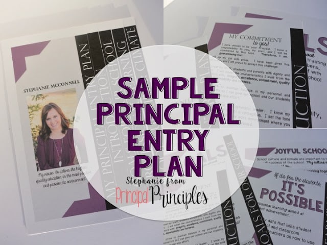 A Sample Principal Entry Plan- A Must See